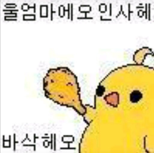 플비 이미지