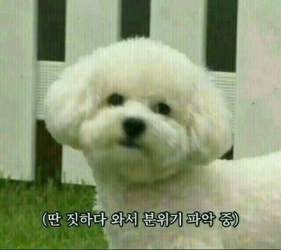아 이미지