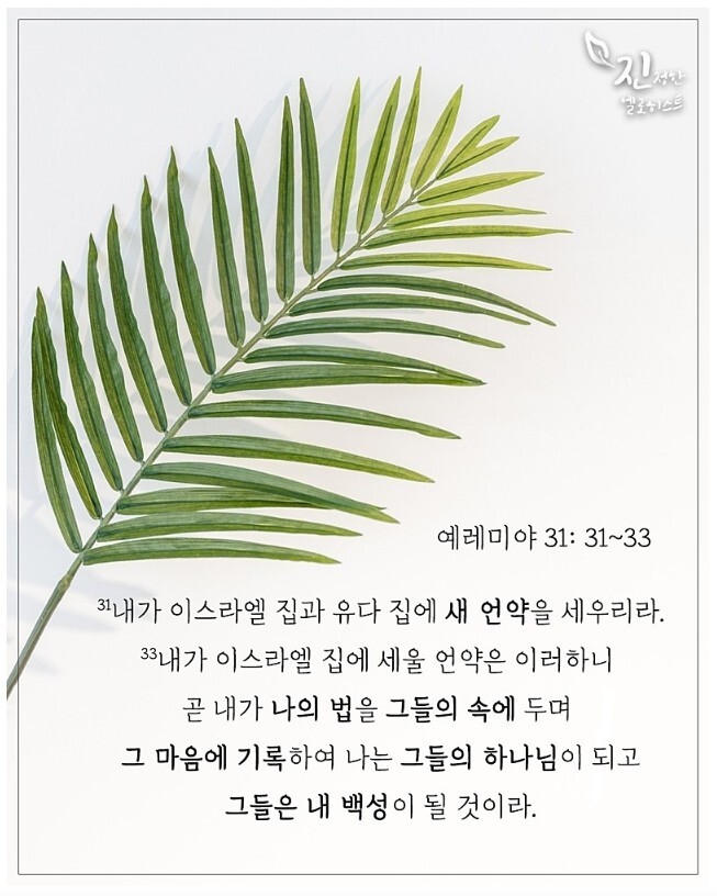 법인백성 이미지