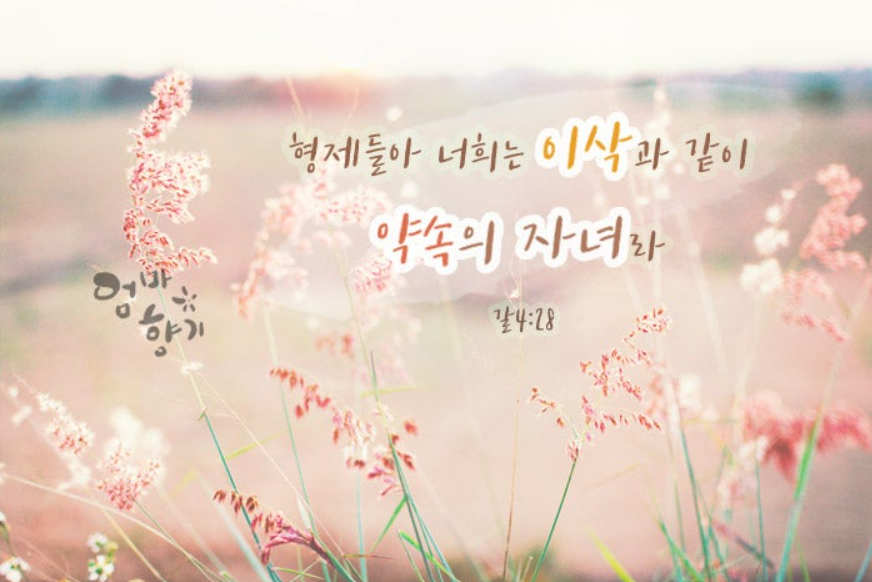 만물 이미지