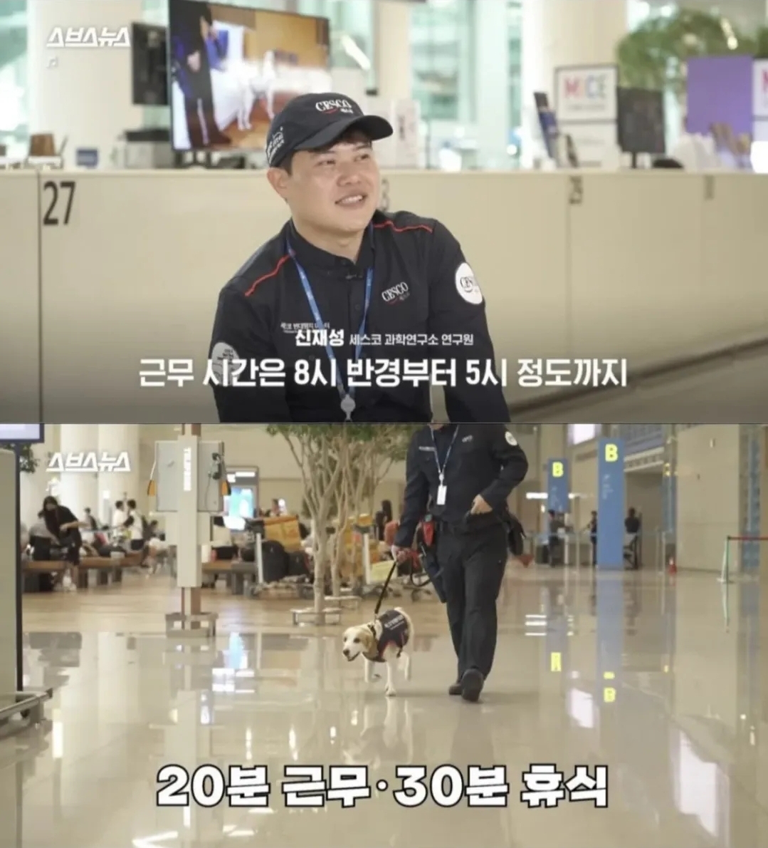 대한민국 제 1호 빈대탐지견 '세코' | 인스티즈