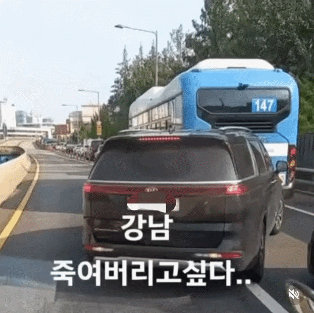 강남인데 정말 싶다 | 인스티즈