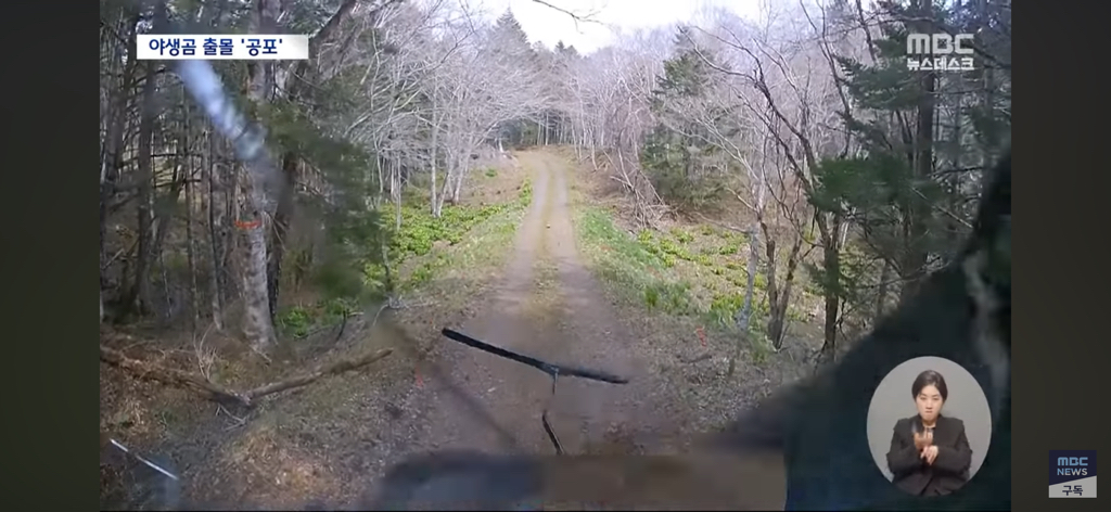 일본열도는 곰비상 | 인스티즈