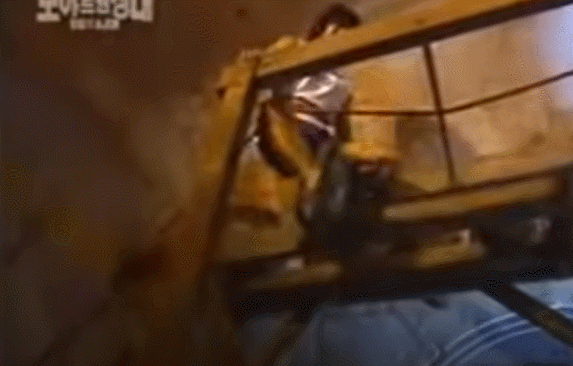 약한 자는 살아남을 수 없었던 레전드 한국예능.gif | 인스티즈