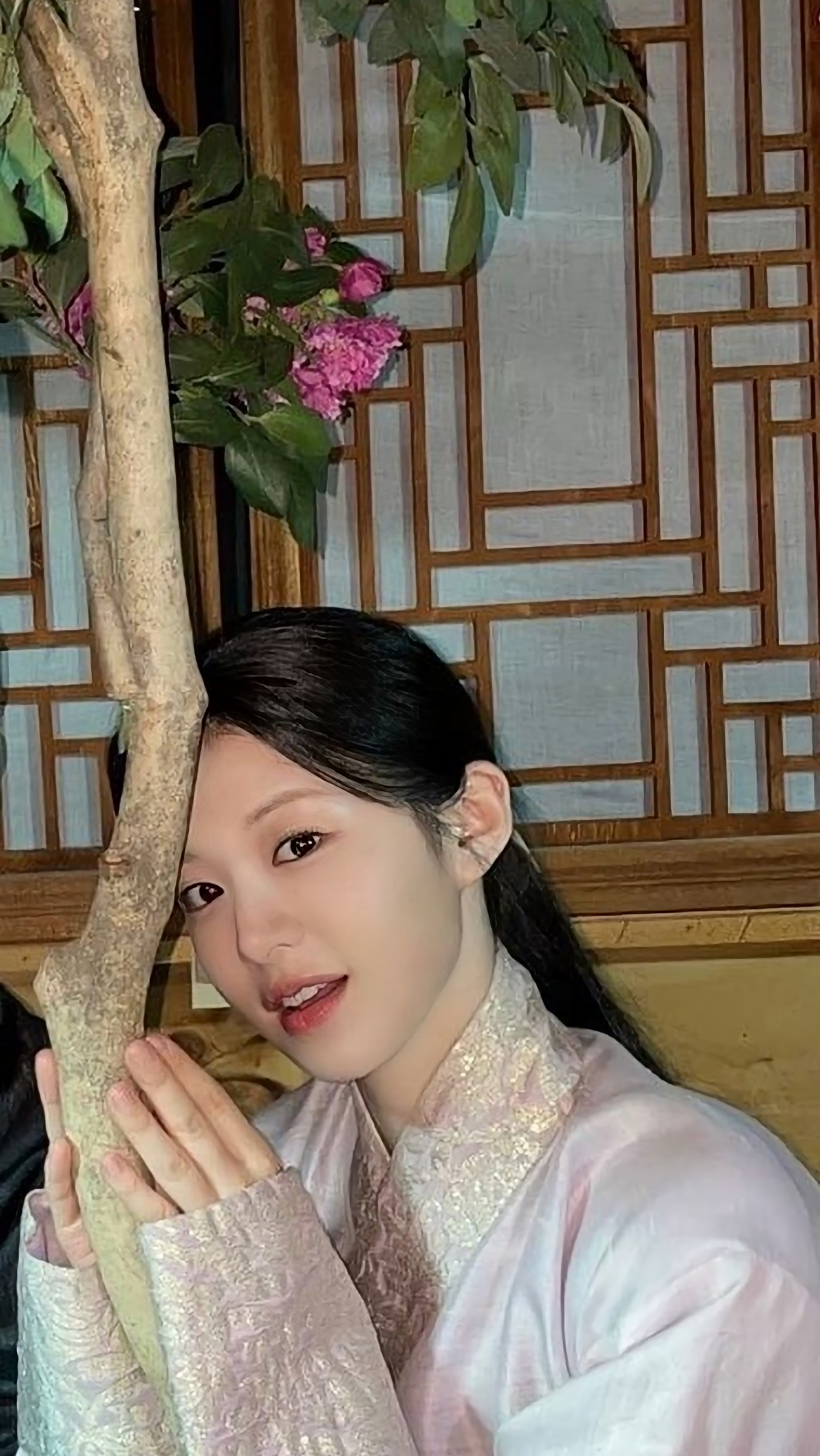 대호 이미지