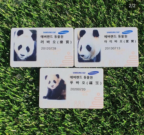 송바오의 아이폰을 본 삼성직원 러바오.gif | 인스티즈