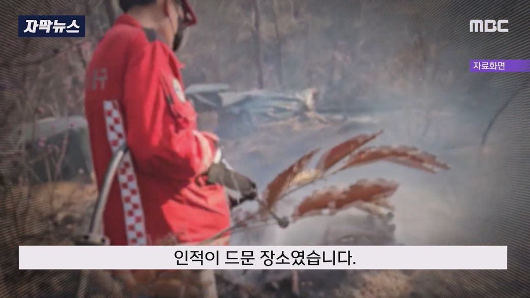 일부러 산에 화염병 던져 산불 낸 방화범 구속 | 인스티즈