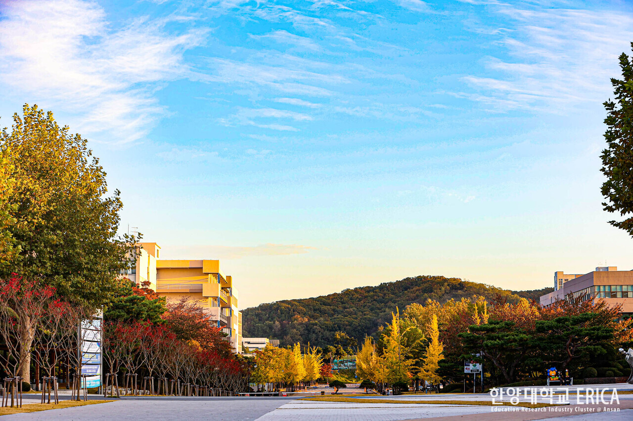 한양대학교 안산캠퍼스 이미지