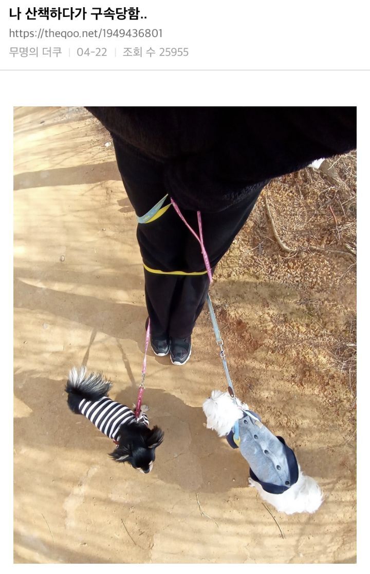 기업 총수는 모든 기업에게 사랑받는 기업을 말하는거야? | 인스티즈