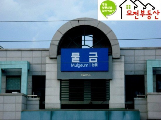 신나지 이미지