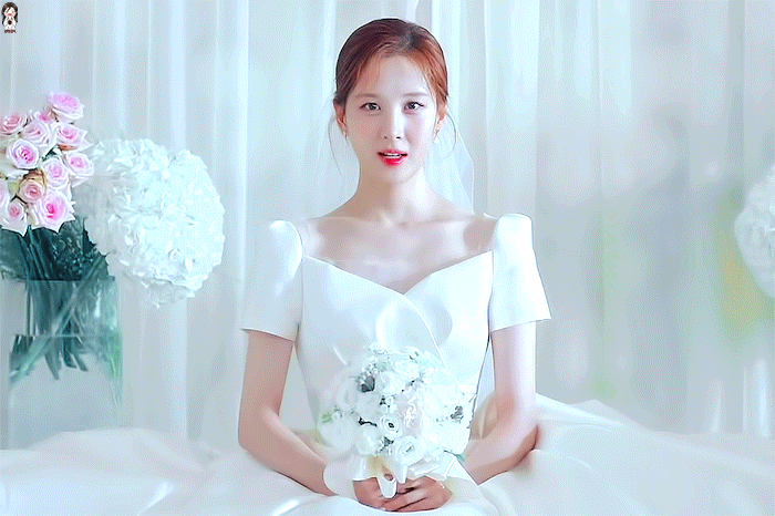 (약스압,데이터주의)연예인들 사건이 터질 때 마다 조용히 1승을 적립하는 사람 | 인스티즈