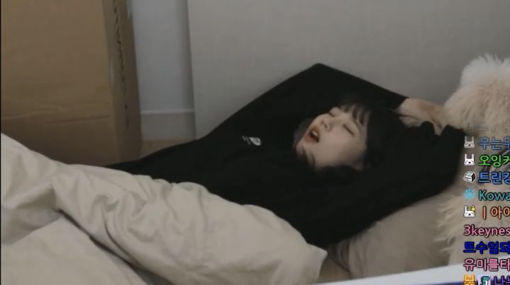 자면서도 할건 다 하는 트위치 스트리머 우정잉...jpg | 인스티즈