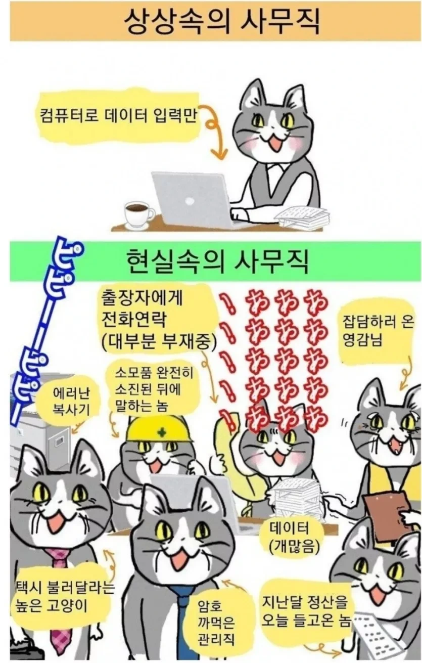 사무직의 현실.jpg | 인스티즈