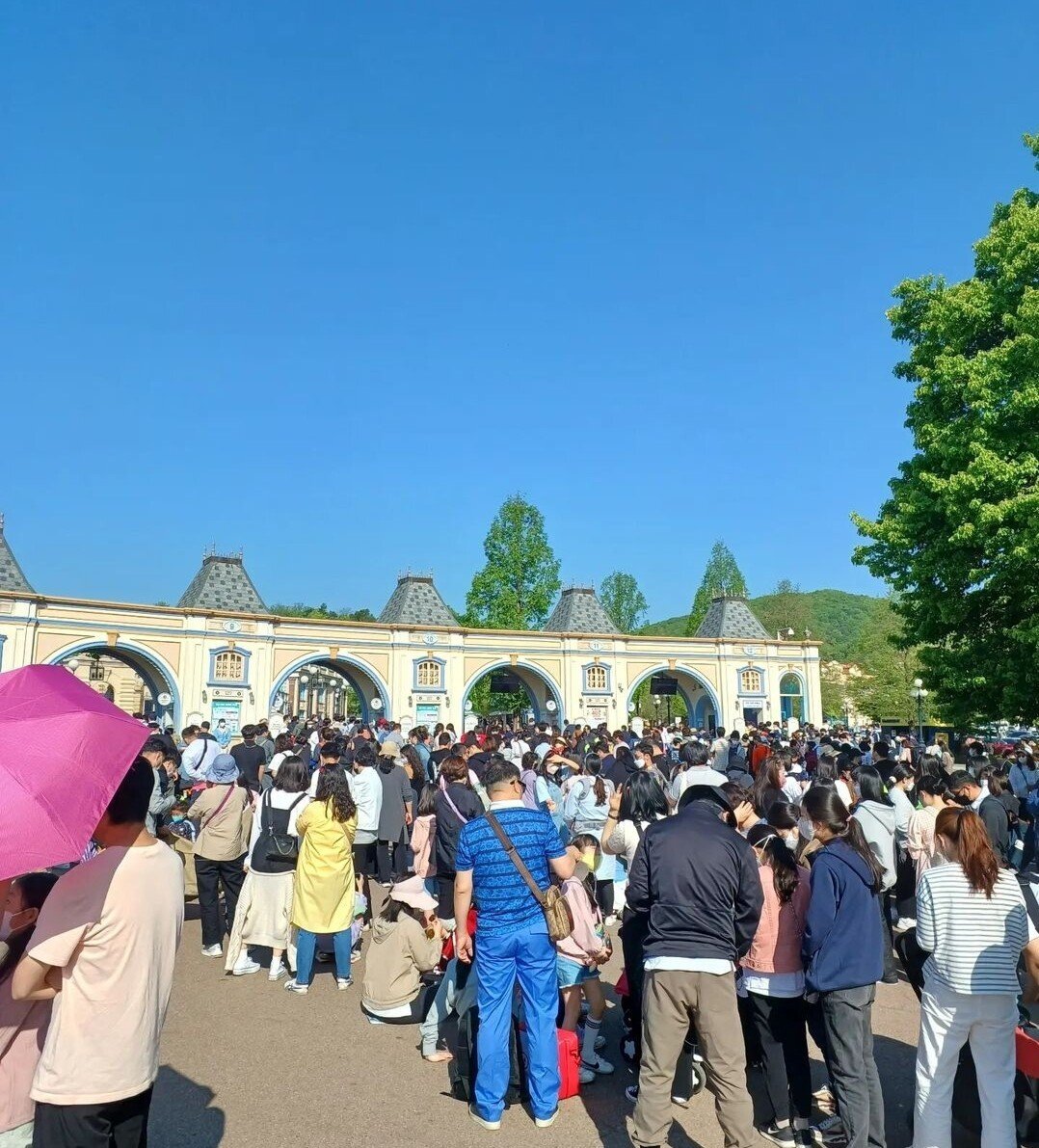 어린이날 에버랜드 오픈런 대기열ㄷㄷㄷ | 인스티즈