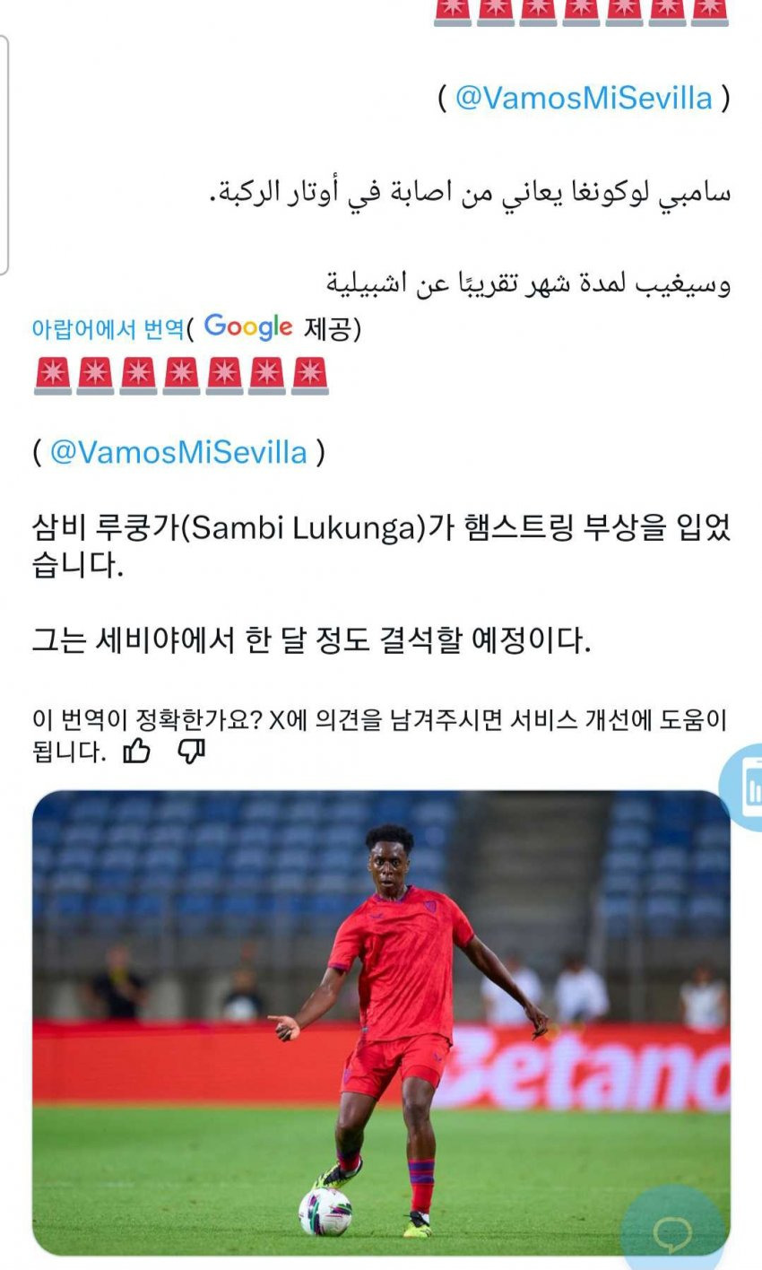 삼비 이미지
