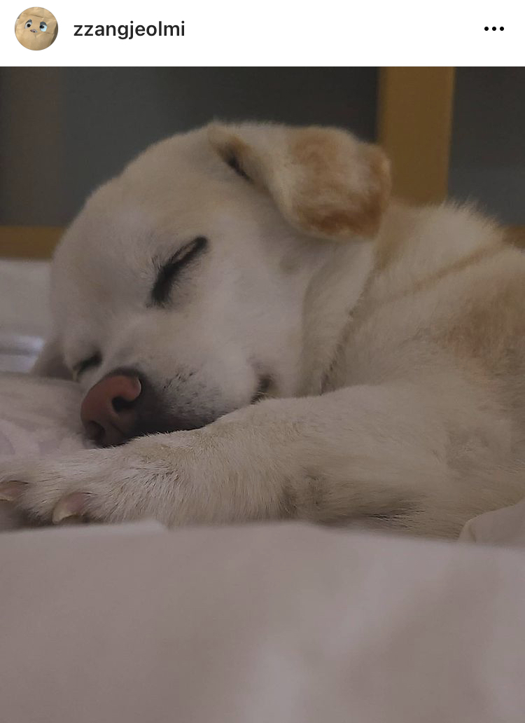 짱절미 인스타 | 인스티즈