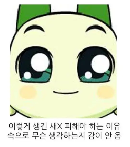눈미디어 이미지