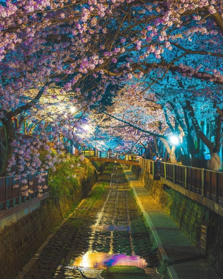 해외에서 반응 좋았던 울릉도 사진 | 인스티즈