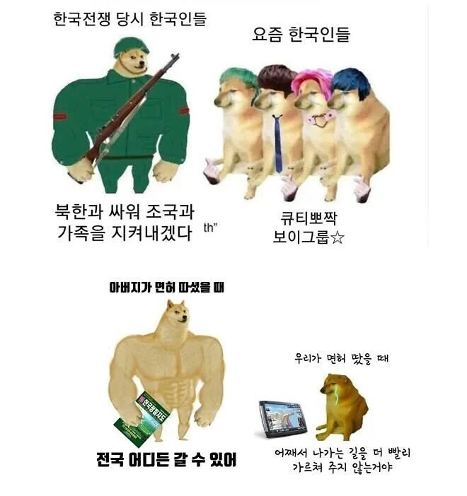 참전용사 할아버지께 시바견 밈을 보여드렸는데 | 인스티즈