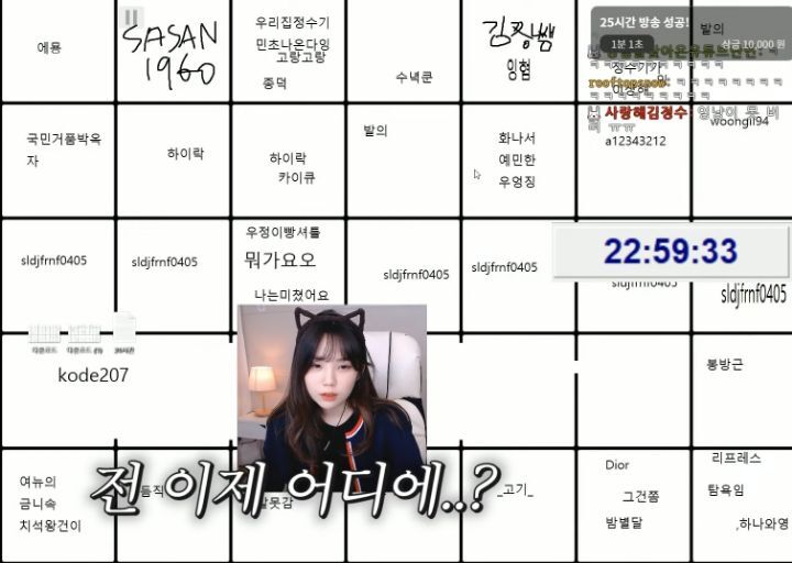 하다하다 바탕화면까지 파는 스트리머 우정잉.jpg | 인스티즈