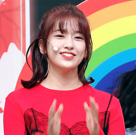 본인이 아이즈원에서 제일 좋아하는 최애 멤버는? | 인스티즈