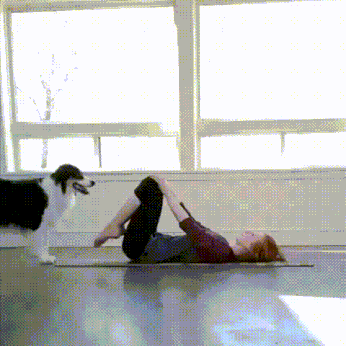 브로콜리랑 요가하기.gif | 인스티즈