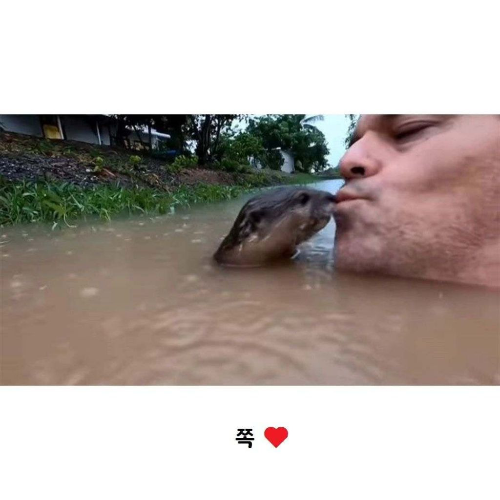 강물 수영의 위험성 | 인스티즈