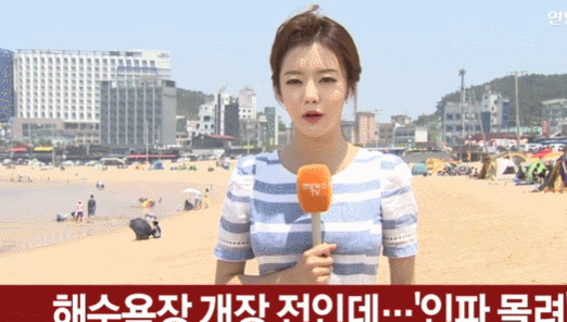 연합뉴스 진수민 캐스터.gif | 인스티즈
