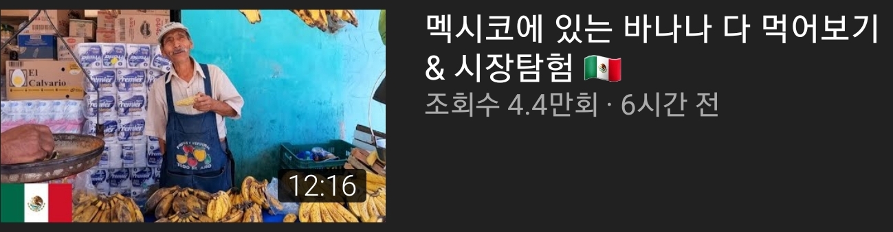 네임드 여행 유튜버들 조회수 근황 | 인스티즈