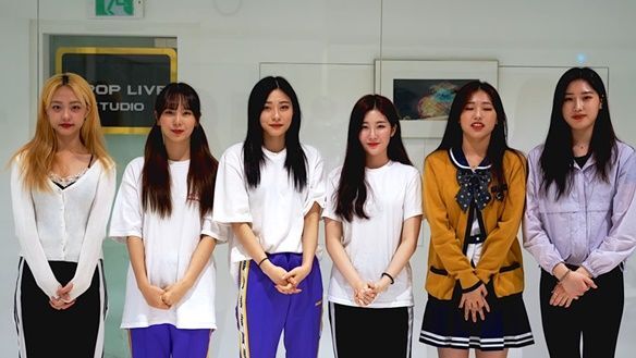 하이엘 이미지
