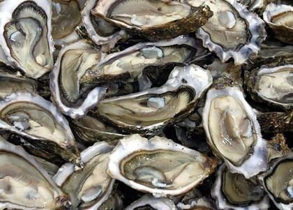 한번 당하면 극혐되는 음식 | 인스티즈