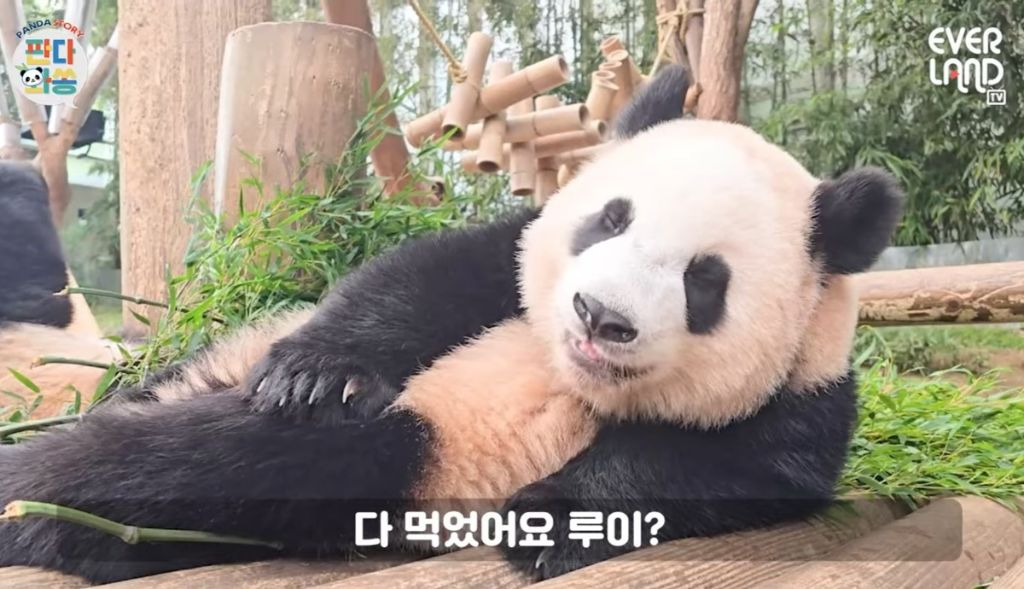 몬나니 이미지