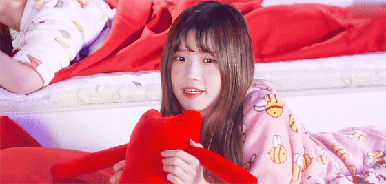 프로미스나인에서 본인이 가장 좋아하는 최애 멤버는? | 인스티즈