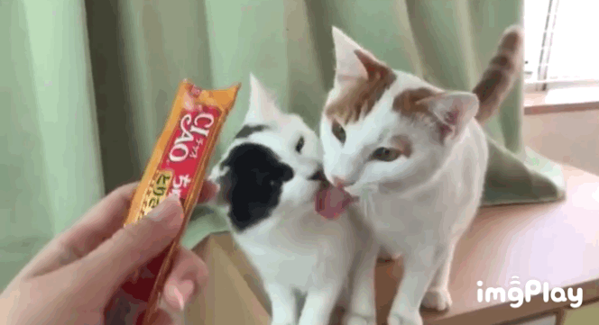 영화 악마를 보았다 엑기스 | 인스티즈