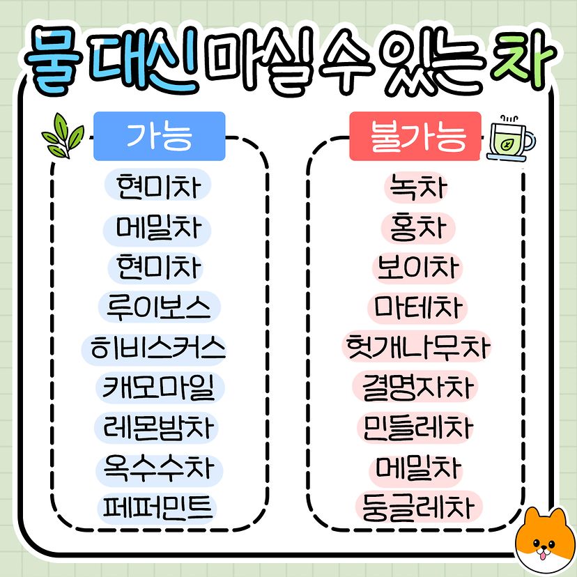 물 대신 마실 수 있는 차.jpg - ★ ··· 하프타임 - 樂soccer 물 대신 마실 수 있는 차.jpg
