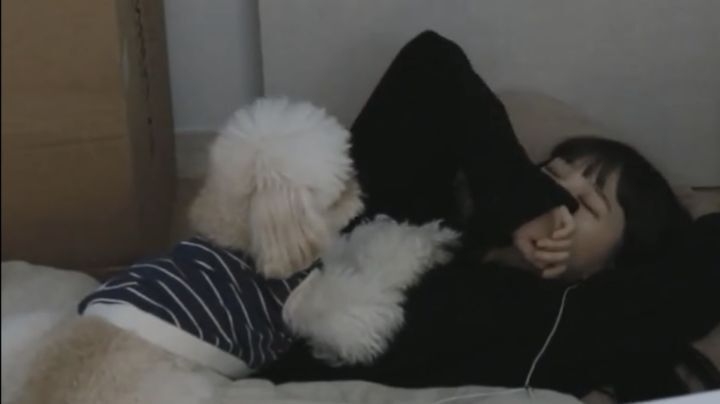 자면서도 할건 다 하는 트위치 스트리머 우정잉...jpg | 인스티즈