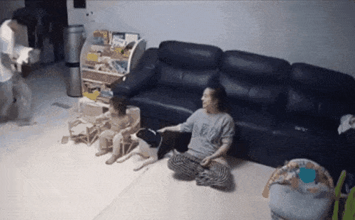 가족들 비행기 태워주는 아빠.gif | 인스티즈