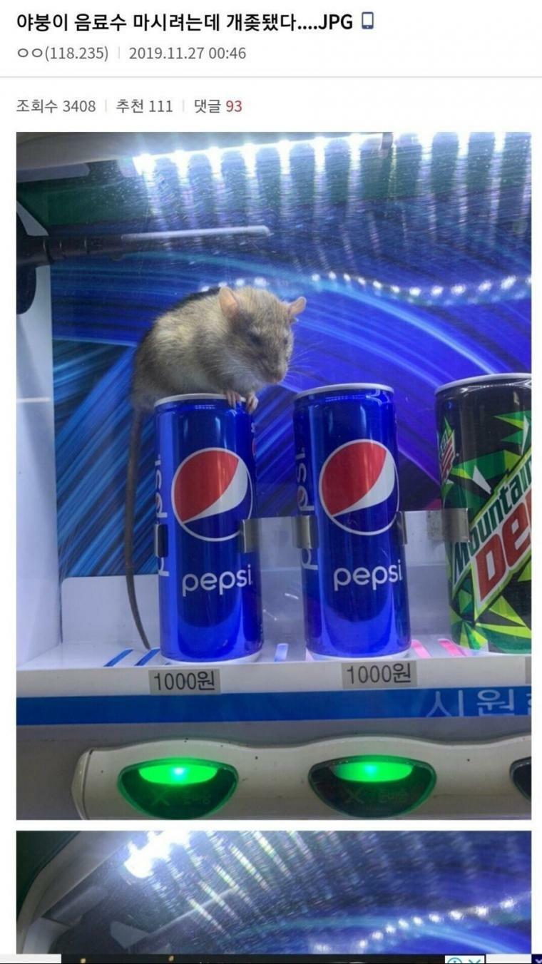 자판기 이미지