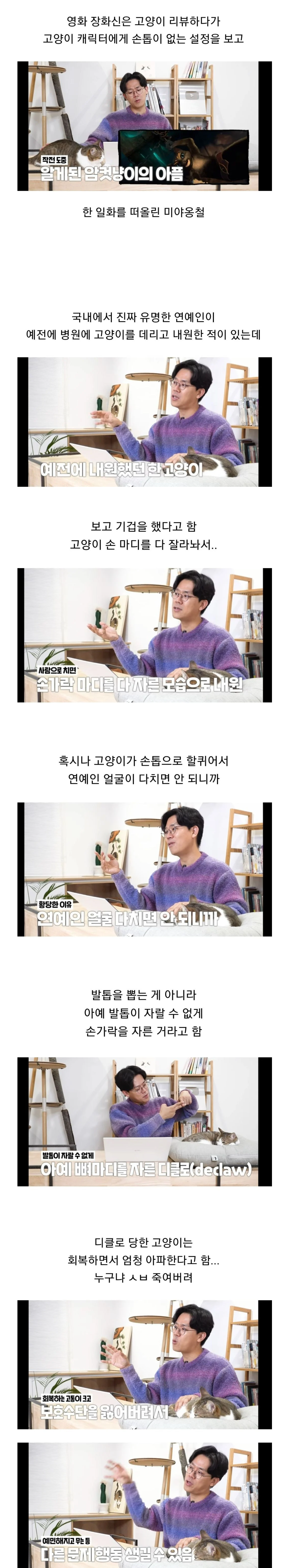 연예인이 데리고 내원한 고양이를 보고 기겁한 수의사 | 인스티즈