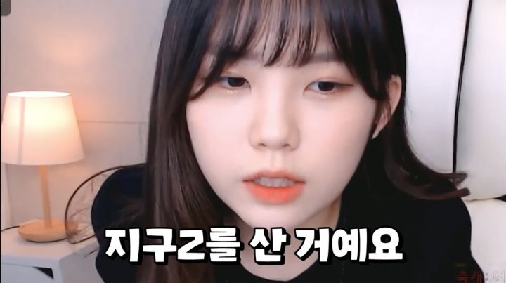 하다하다 바탕화면까지 파는 스트리머 우정잉.jpg | 인스티즈