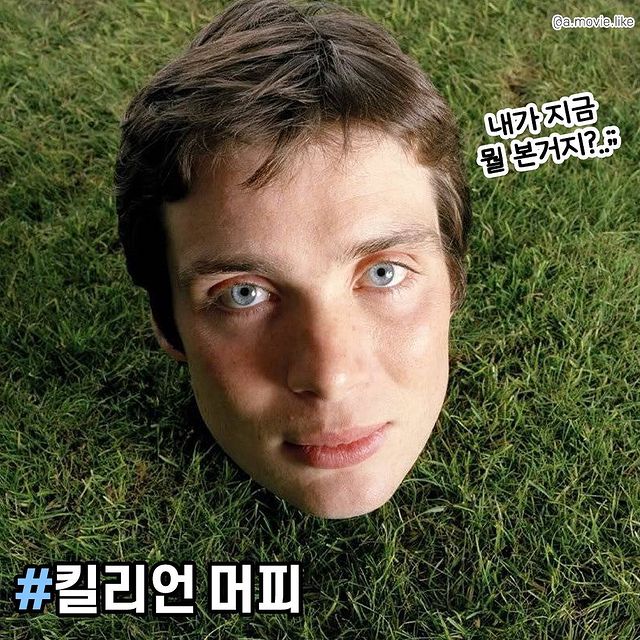 이해할 수 없는 영국 감성 화보.jpg | 인스티즈