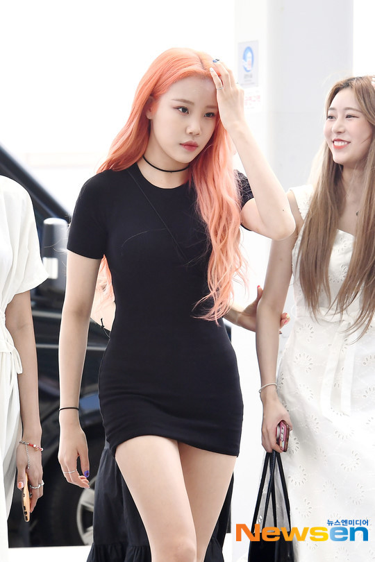 그룹퍼즐 이미지