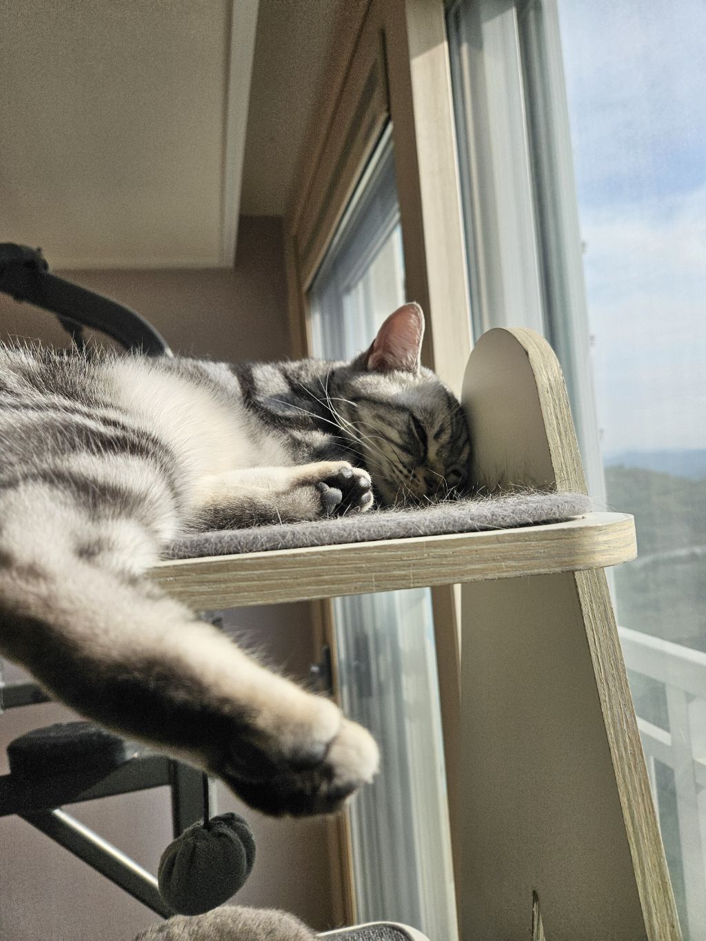 진짜 하루 왠 종일 잠만잠 - ☆ ··· 자유토크방 - 樂soccer