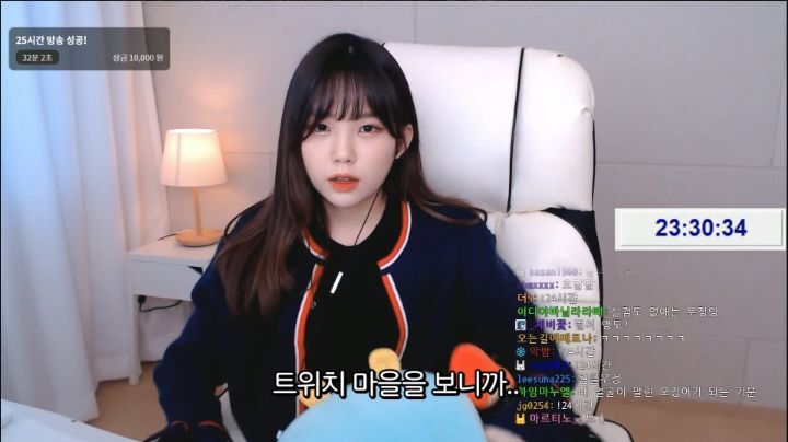 하다하다 바탕화면까지 파는 스트리머 우정잉.jpg | 인스티즈