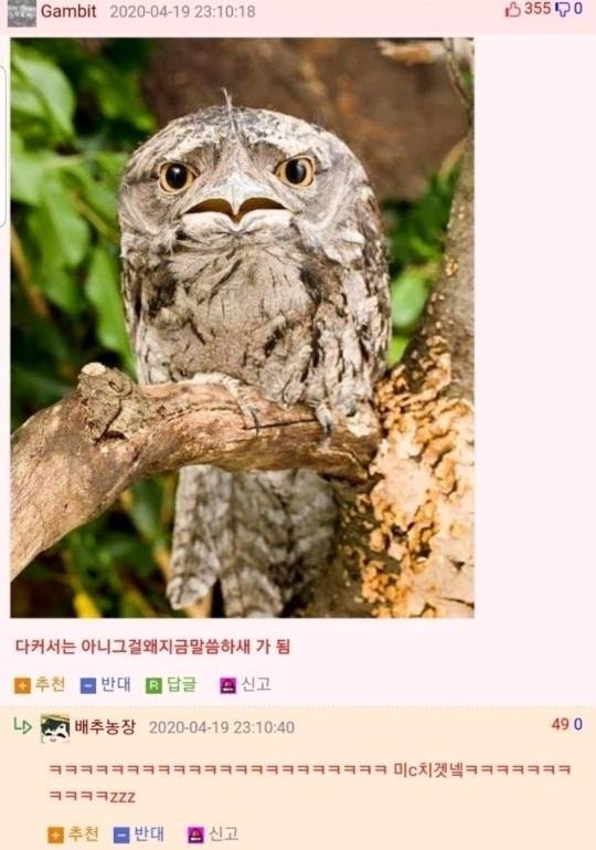 월요일아침 이미지