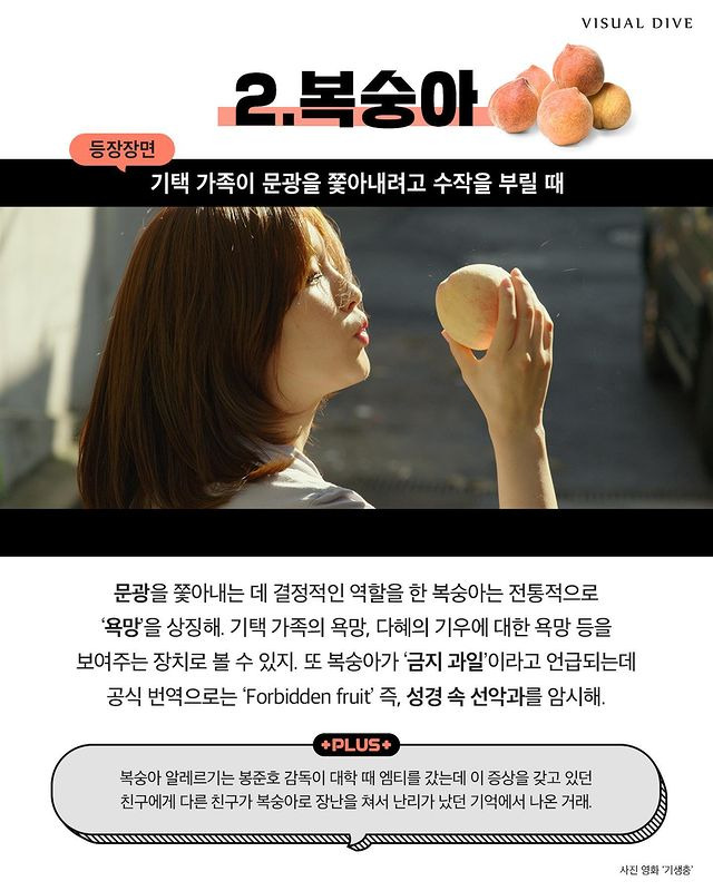 기생충 속 음식 이야기.jpg | 인스티즈