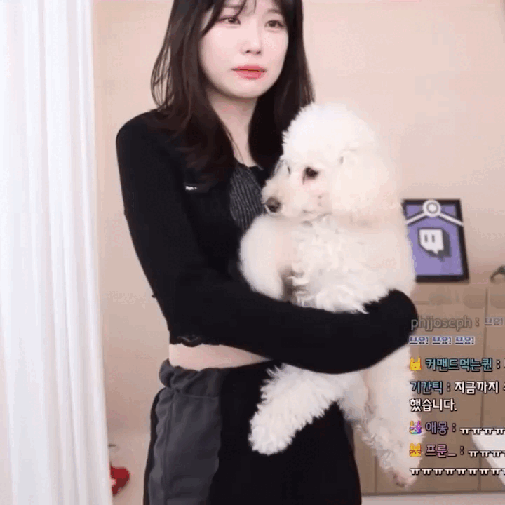 트위치 섭종으로 펑펑 울어버린 우정잉 ㅜㅜ gif | 인스티즈