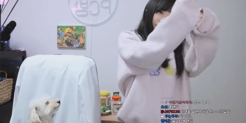 트위치 스트리머 우정잉의 랜덤플레이댄스.gif | 인스티즈