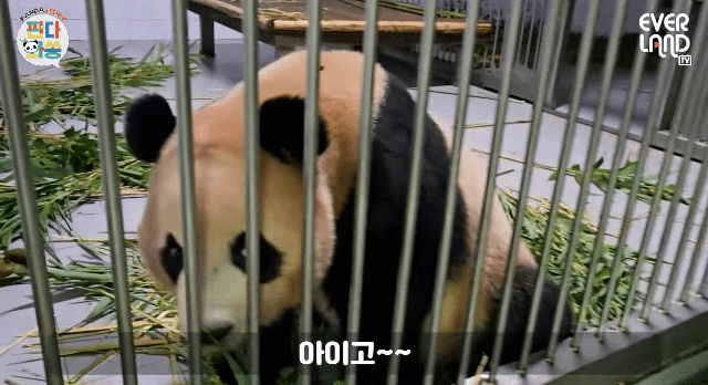 게시글 대표 이미지