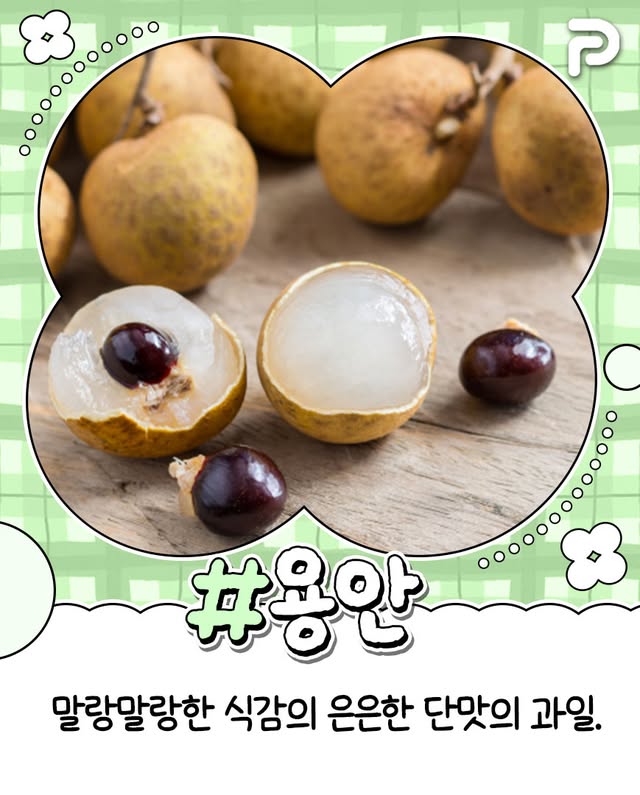 동남아 여행 필수 과일 리스트.jpg | 인스티즈